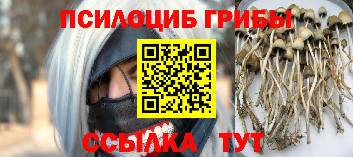 Галлюциногенные грибы MAGIC MUSHROOMS Отрадное